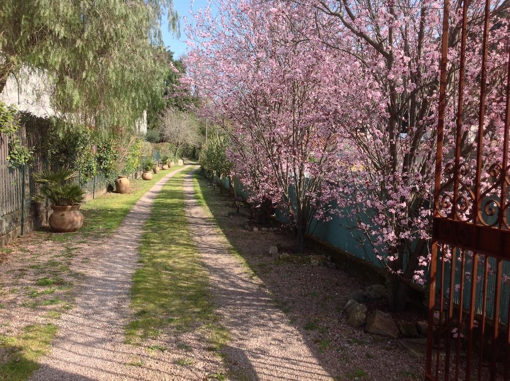 Maison D'Hotes Les Chambres De Mon Moulin Pégomas Εξωτερικό φωτογραφία