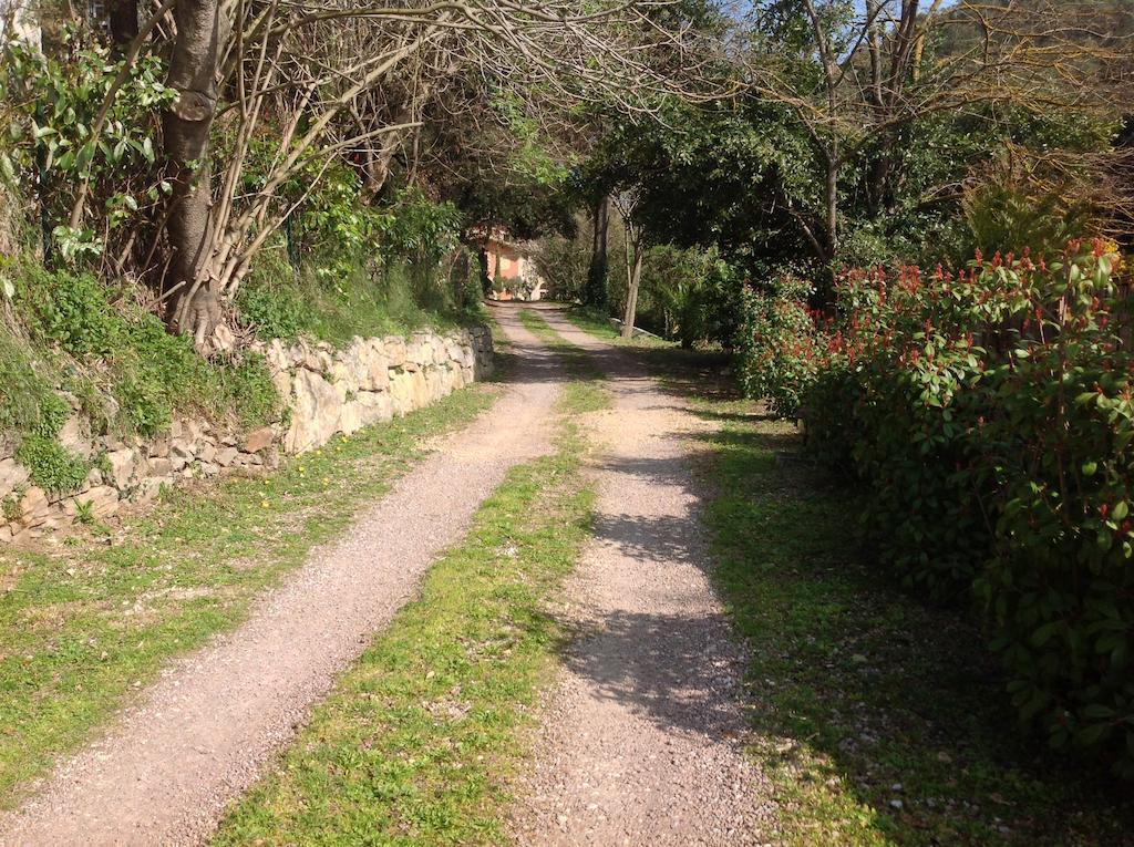 Maison D'Hotes Les Chambres De Mon Moulin Pégomas Εξωτερικό φωτογραφία