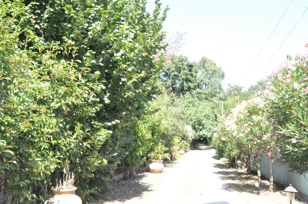 Maison D'Hotes Les Chambres De Mon Moulin Pégomas Εξωτερικό φωτογραφία